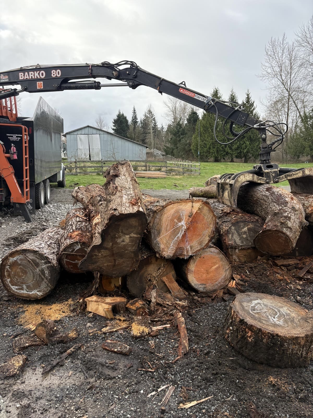 High Cut Trees past job